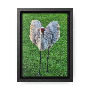 Crane I Heart You - Canvas with Frame