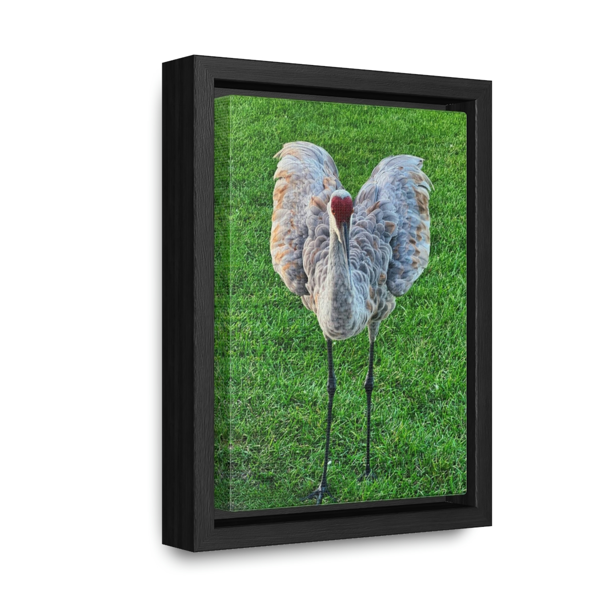 Crane I Heart You - Canvas with Frame - Image 2