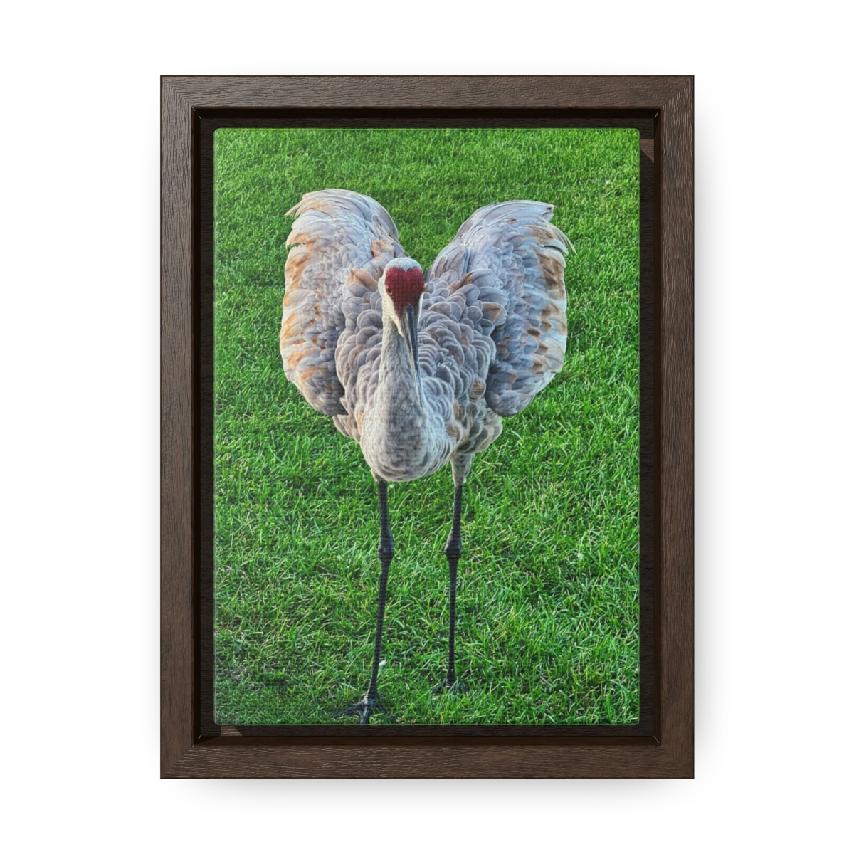 Crane I Heart You - Canvas with Frame - Image 6