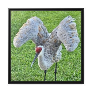 Crane Stretching - Matte Canvas, Black Frame