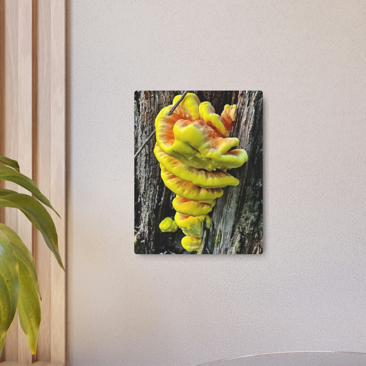 Chicken-of-the-Woods Mushroom - Metal Art Sign - Image 10