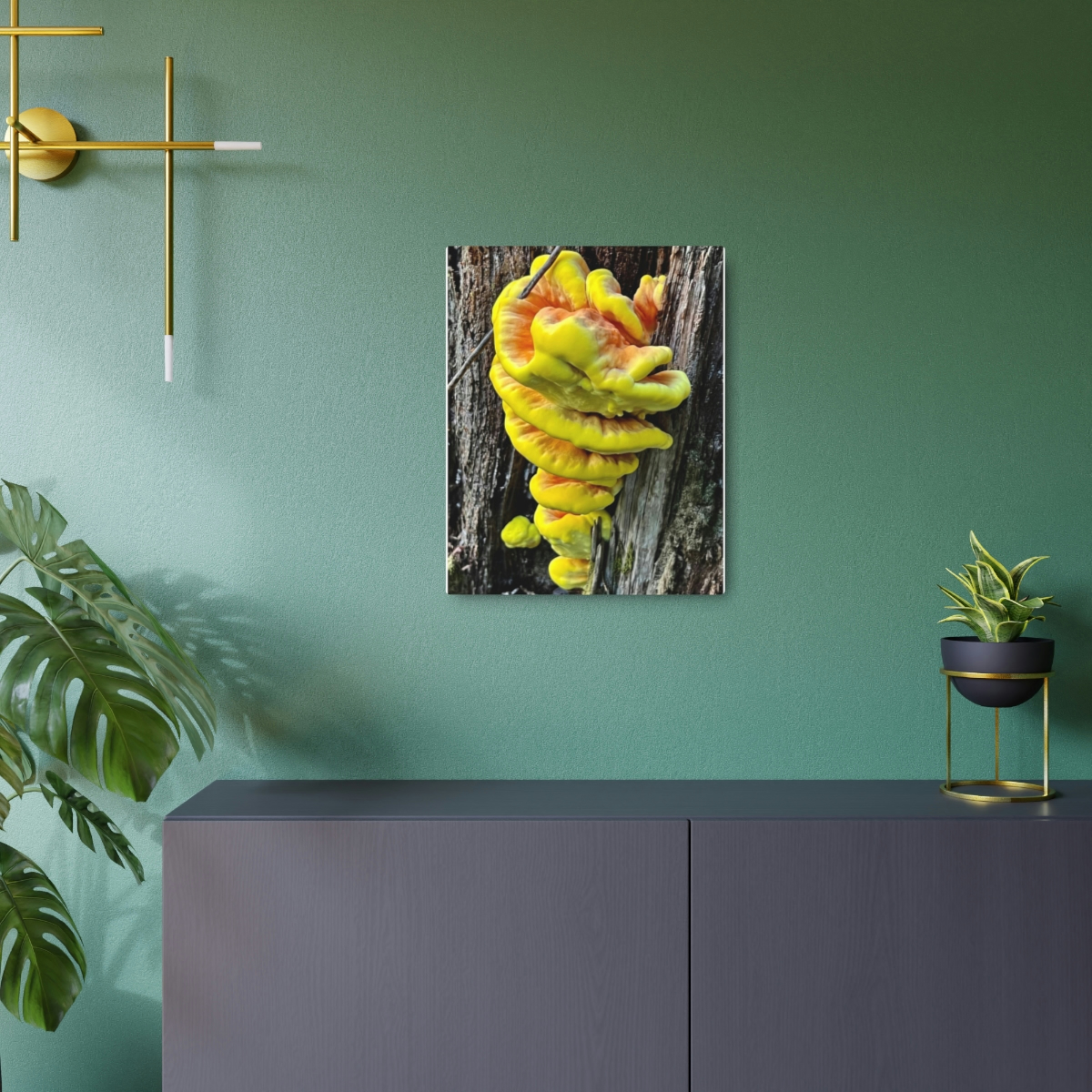 Chicken-of-the-Woods Mushroom - Metal Art Sign - Image 6