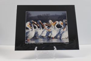 Pre-matted Black - Fresh Water Pelicans, Grass Lake