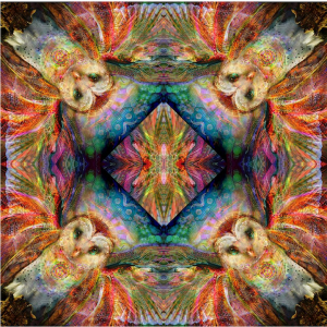 Jumbie Art Owl Bandana/Convertible Top