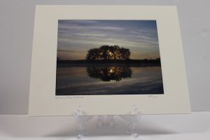 Pre-matted - Reflection Tree, Fox River