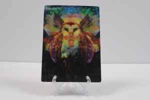 Jumbie Art Owl Hologram 5" x 7"